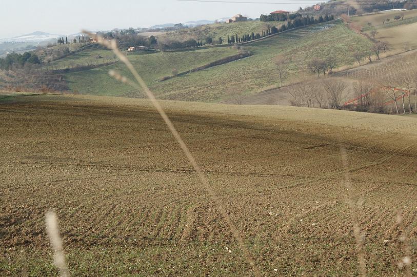 PECCATO PER LA FOSCHIA